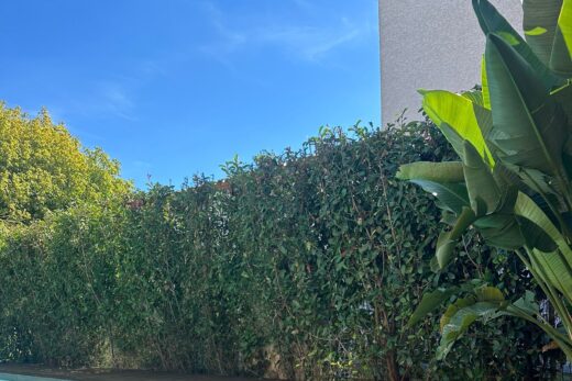 Terrasse bois et cuisine d&#8217;été